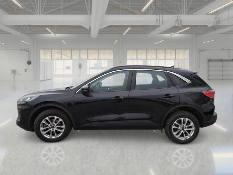 FORD Kuga 3ª serie Kuga 1.5 EcoBlue 120 CV aut. 2WD Titanium Business