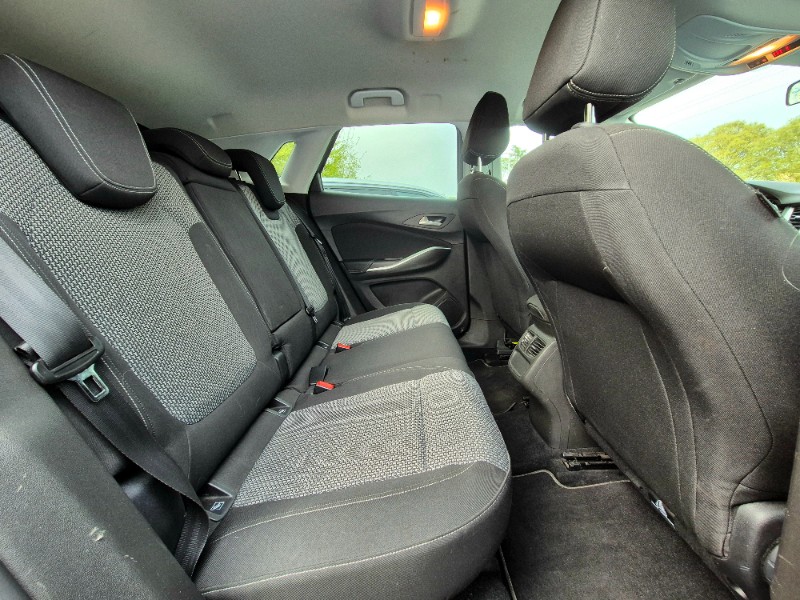 OPEL Grandland 1ª serie Grandland X 1.6 diesel Ecotec Start&Stop Advance